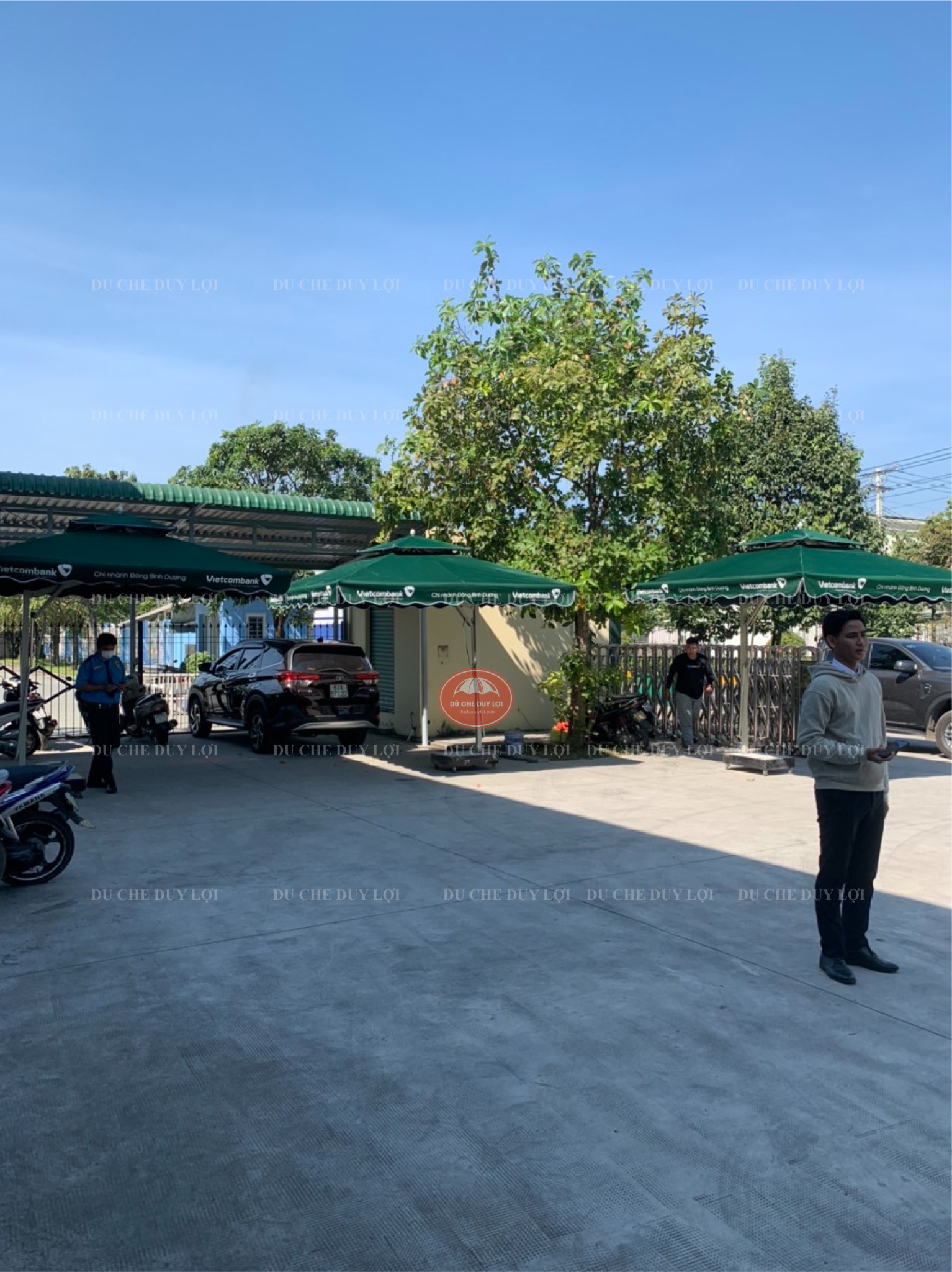 Các tán dù xanh rêu bố trí trong sân Vietcombank cạnh cây xanh và khu vực để xe.